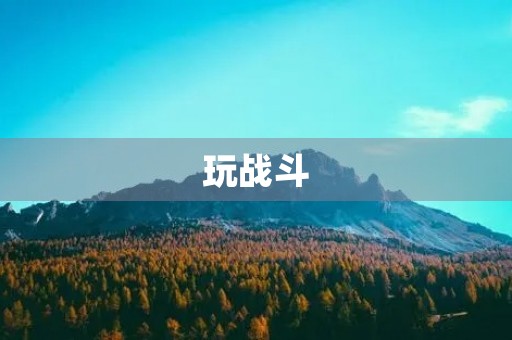 玩战斗 玩战斗