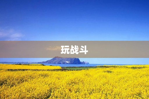 玩战斗 玩战斗