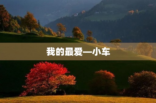 我的最爱—小车 我的最爱—小车