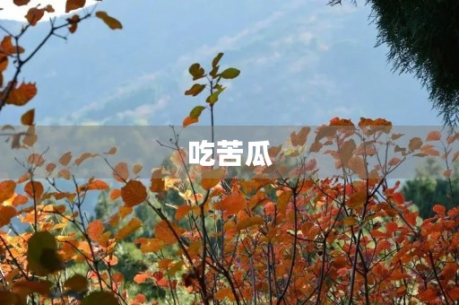 吃苦瓜