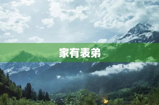 家有表弟 家有表弟