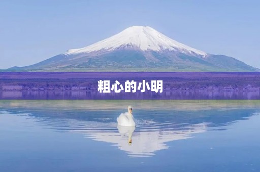 粗心的小明 粗心的小明