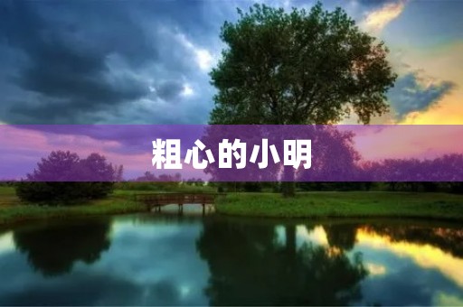 粗心的小明 粗心的小明
