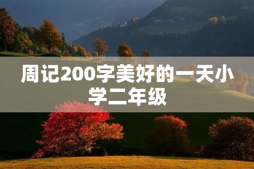 周记200字美好的一天小学二年级