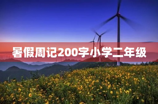 暑假周记200字小学二年级