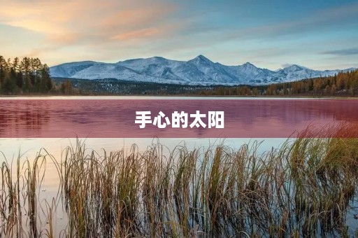 手心的太阳