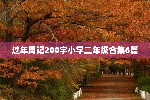 过年周记200字小学二年级合集6篇