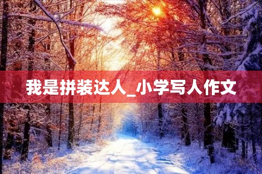 我是拼装达人_小学写人作文