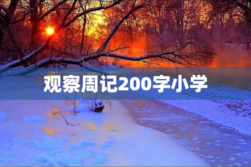 观察周记200字小学 观察周记200字小学