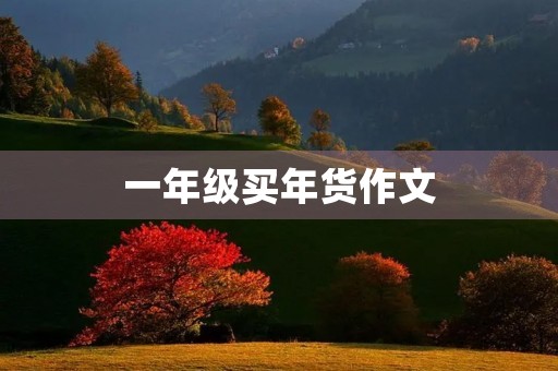一年级买年货作文
