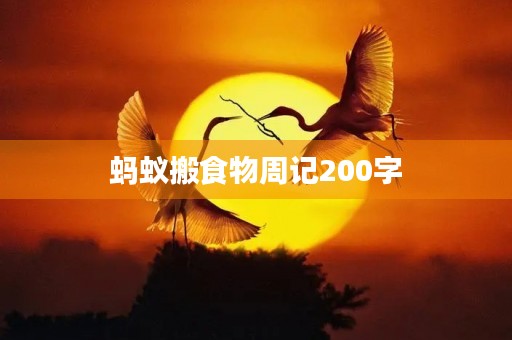 蚂蚁搬食物周记200字 蚂蚁搬食物周记200字