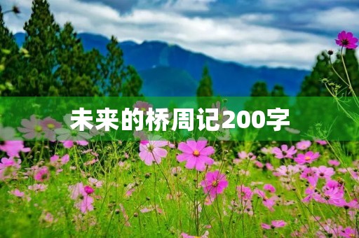 未来的桥周记200字 未来的桥周记200字