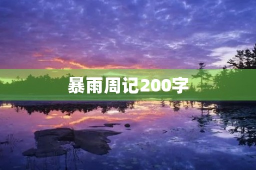 暴雨周记200字