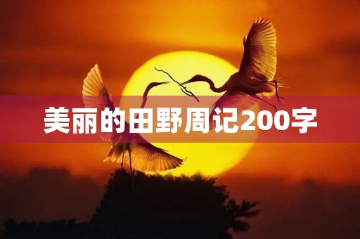 美丽的田野周记200字 美丽的田野周记200字