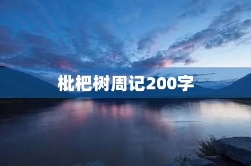 枇杷树周记200字 枇杷树周记200字