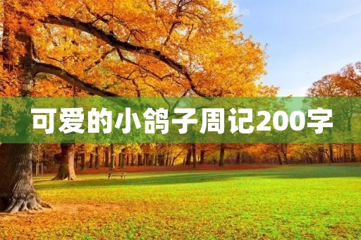 可爱的小鸽子周记200字