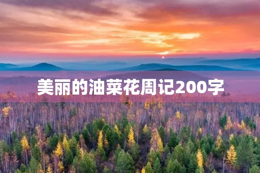 美丽的油菜花周记200字 美丽的油菜花周记200字