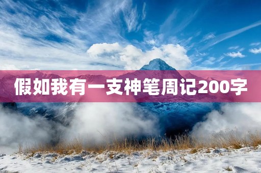 假如我有一支神笔周记200字