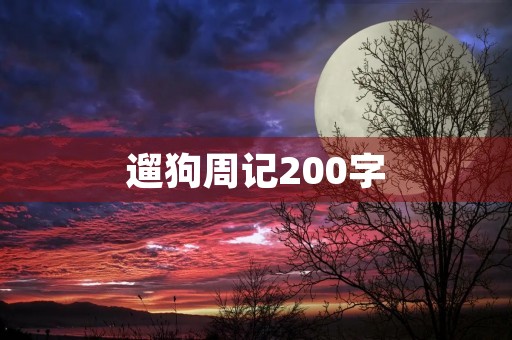 遛狗周记200字 遛狗周记200字