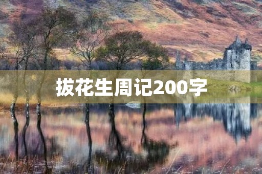 拔花生周记200字