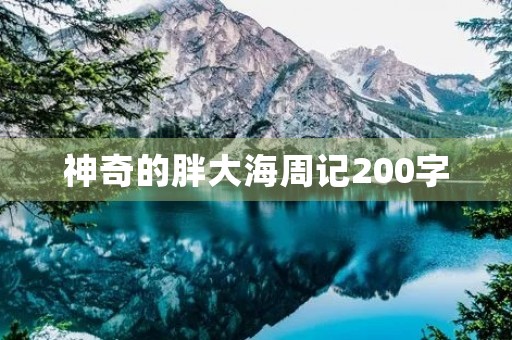 神奇的胖大海周记200字 神奇的胖大海周记200字