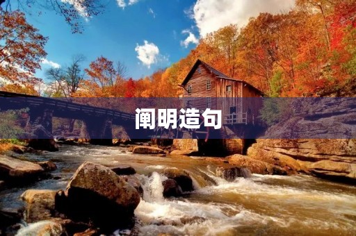 阐明造句