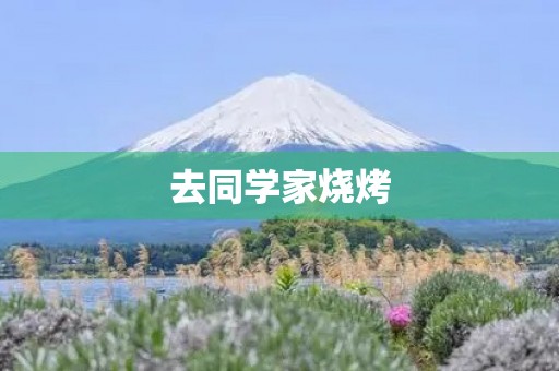 去同学家烧烤 去同学家烧烤