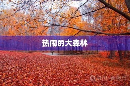 热闹的大森林 热闹的大森林