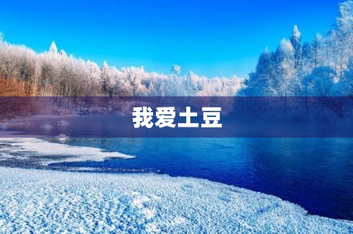 我爱土豆 我爱土豆