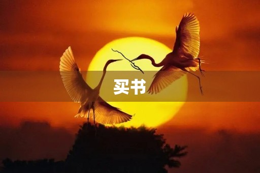 买书 买书