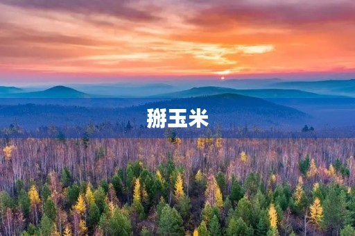 掰玉米 掰玉米