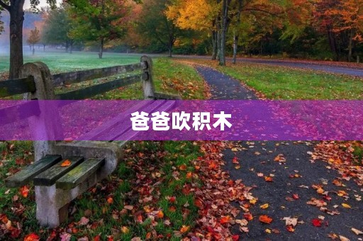 爸爸吹积木 爸爸吹积木