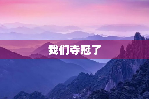 我们夺冠了 我们夺冠了