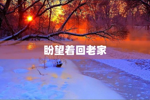 盼望着回老家 盼望着回老家