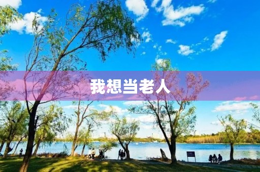 我想当老人 我想当老人