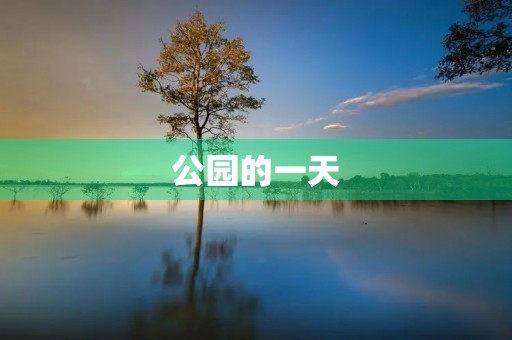 公园的一天 公园的一天