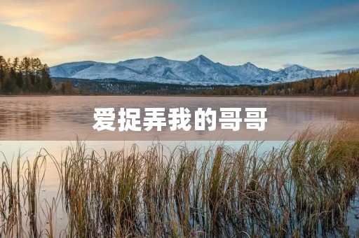 爱捉弄我的哥哥 爱捉弄我的哥哥