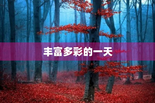 丰富多彩的一天 丰富多彩的一天