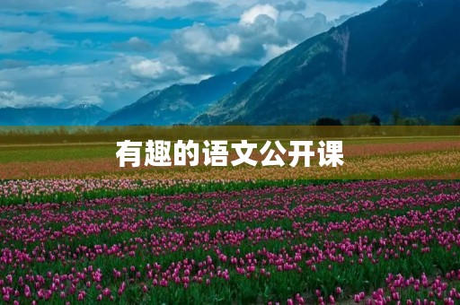 有趣的语文公开课 有趣的语文公开课