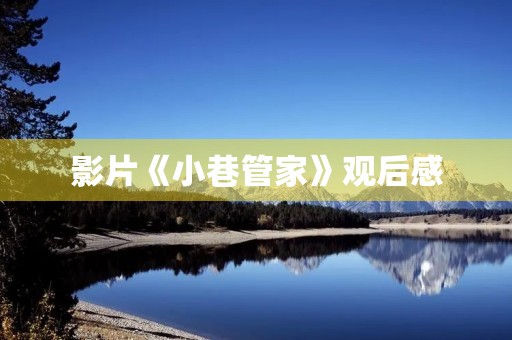 影片《小巷管家》观后感 影片《小巷管家》观后感