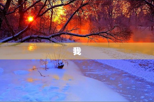 我 我