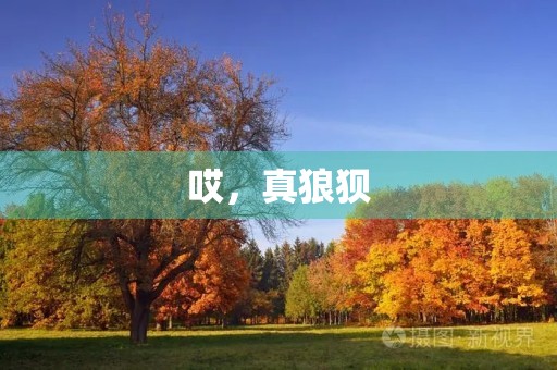 哎，真狼狈