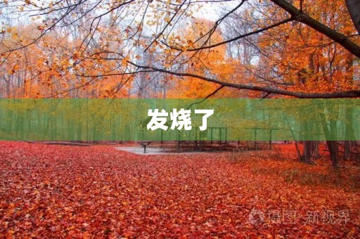 发烧了 发烧了