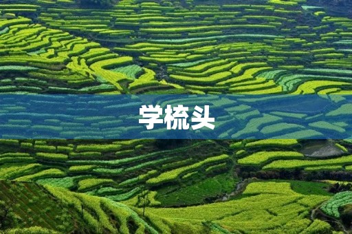 学梳头 学梳头