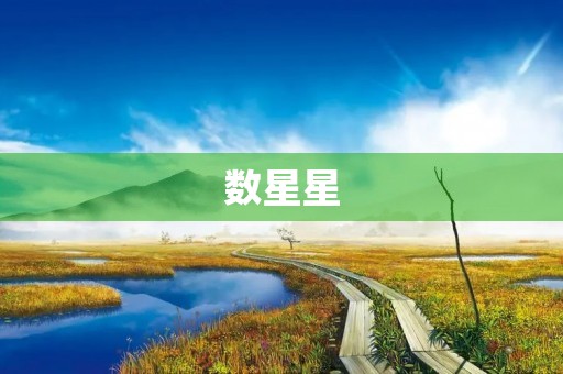 数星星 数星星