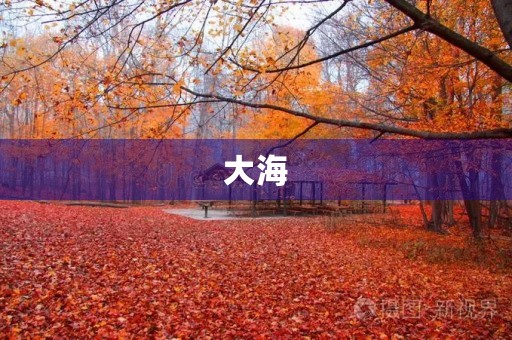 大海 大海