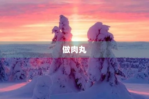 做肉丸 做肉丸