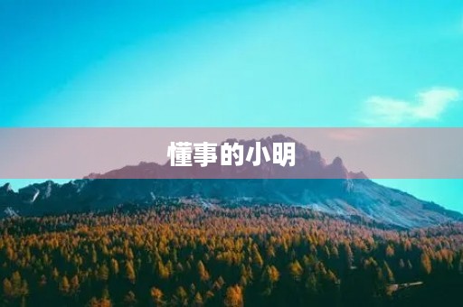 懂事的小明 懂事的小明