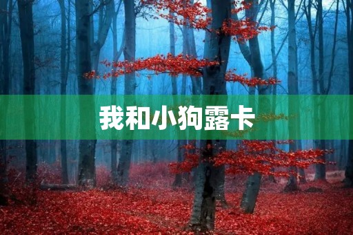 我和小狗露卡 我和小狗露卡