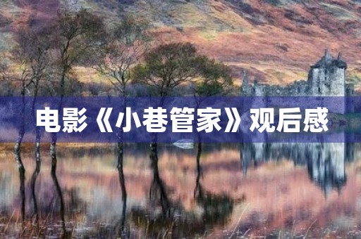电影《小巷管家》观后感